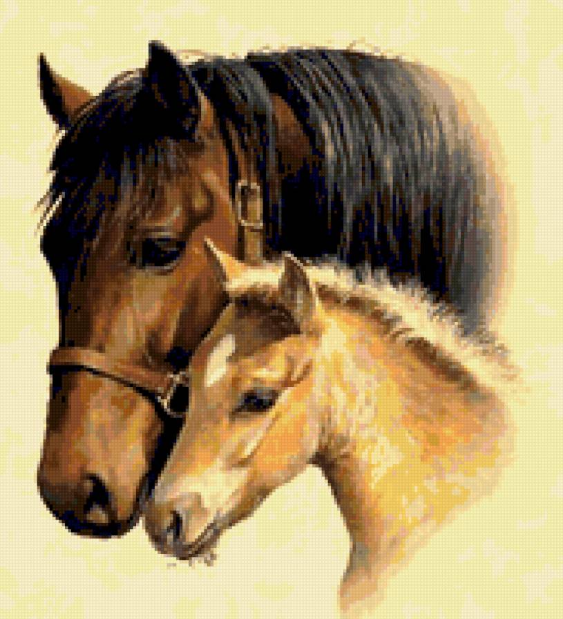 Вместе - лошади - предпросмотр