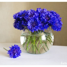 Схема вышивки «Цветы»