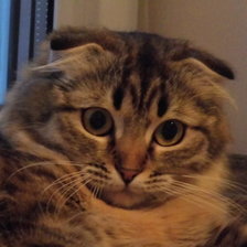 Схема вышивки «чуча»