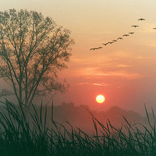 Схема вышивки «Осенний закат»