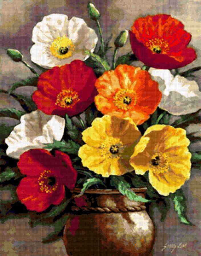 Букет Маков - цветы, маки, красота, букет, мак, полевые цветы - предпросмотр