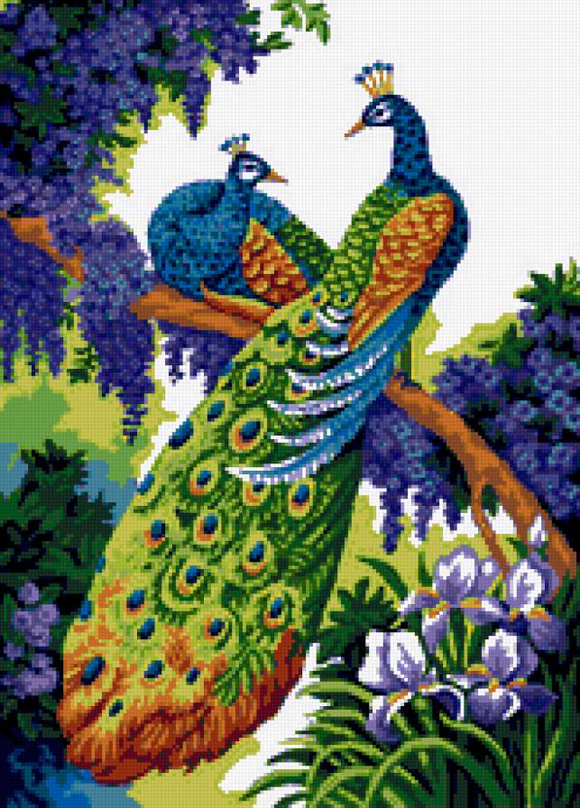 павлины - павлины, цветы - предпросмотр