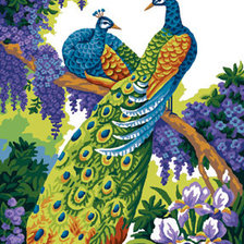 Схема вышивки «павлины»