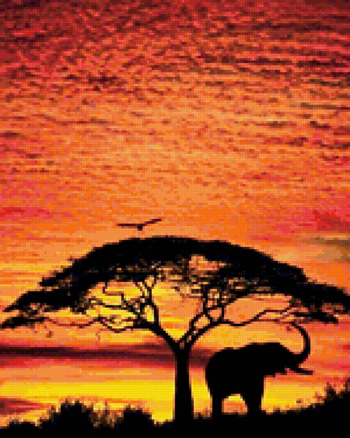 Африка - восход, закат, африка, слон - предпросмотр