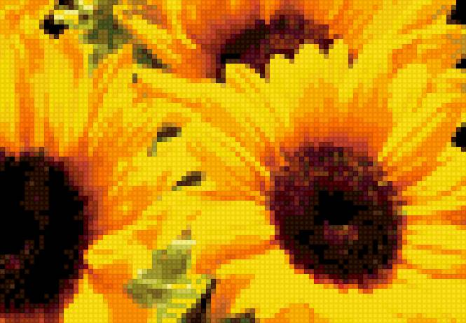 Подсолнушки - цветы - предпросмотр