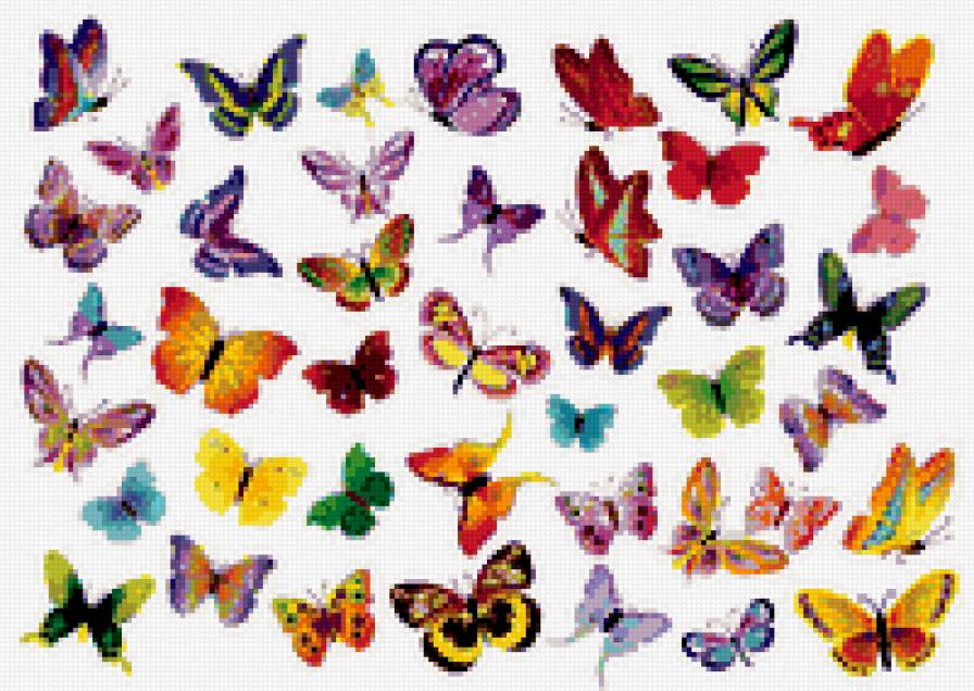 babochki - предпросмотр