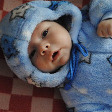 Схема вышивки «zh»