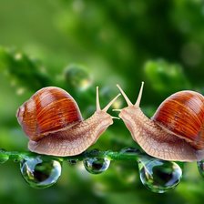 Схема вышивки «улиточки»