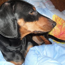 Схема вышивки «ИРиска»