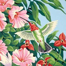 Схема вышивки «колибри»