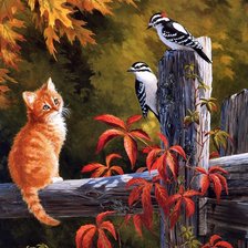 Схема вышивки «Рыжий котенок и дятлы»