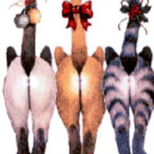 Схема вышивки «Красотки»