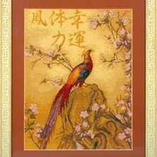 золотой фазан