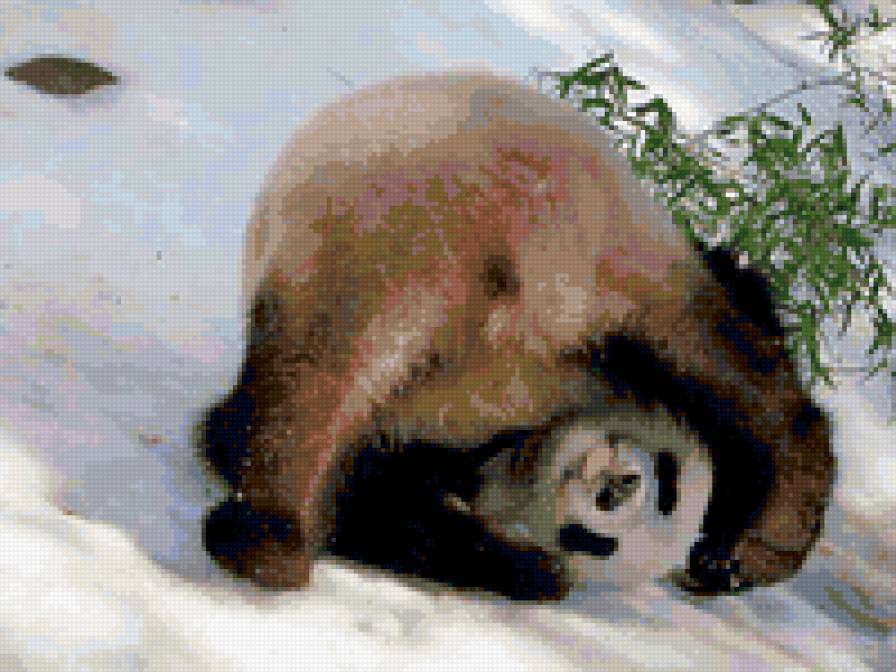 панда - панда - предпросмотр