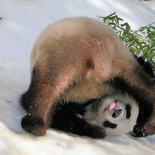 Схема вышивки «панда»