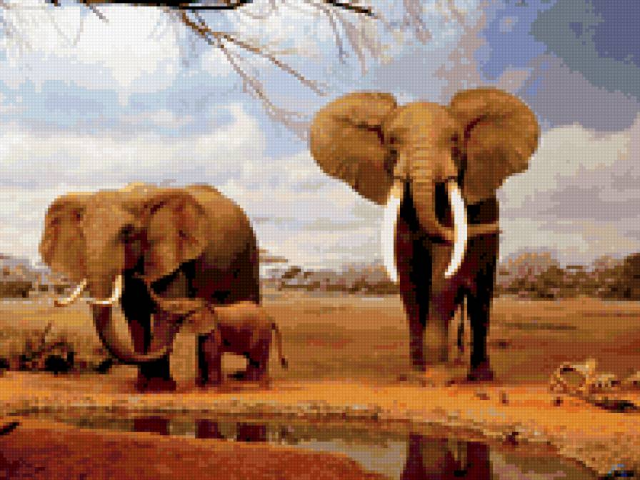 слон - слон - предпросмотр