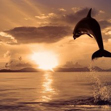 Схема вышивки «дельфин»