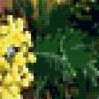Предпросмотр схемы вышивки «Мимоза» (№414327)