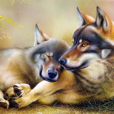 Схема вышивки «Пара волков»