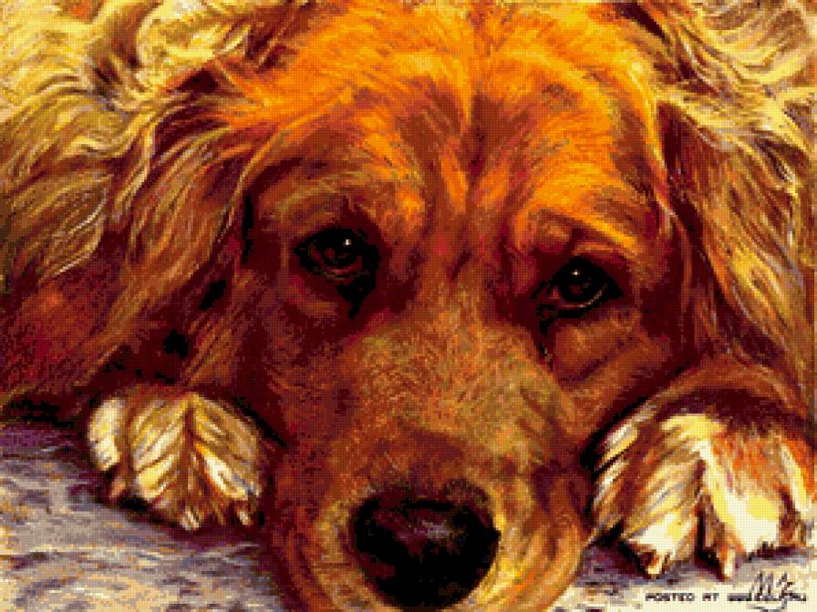 собачка - животные, собака - предпросмотр