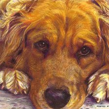 Схема вышивки «собачка»