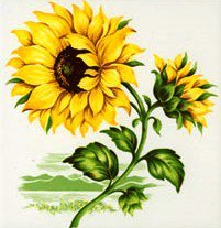 Схема вышивки «Подсолнухи»