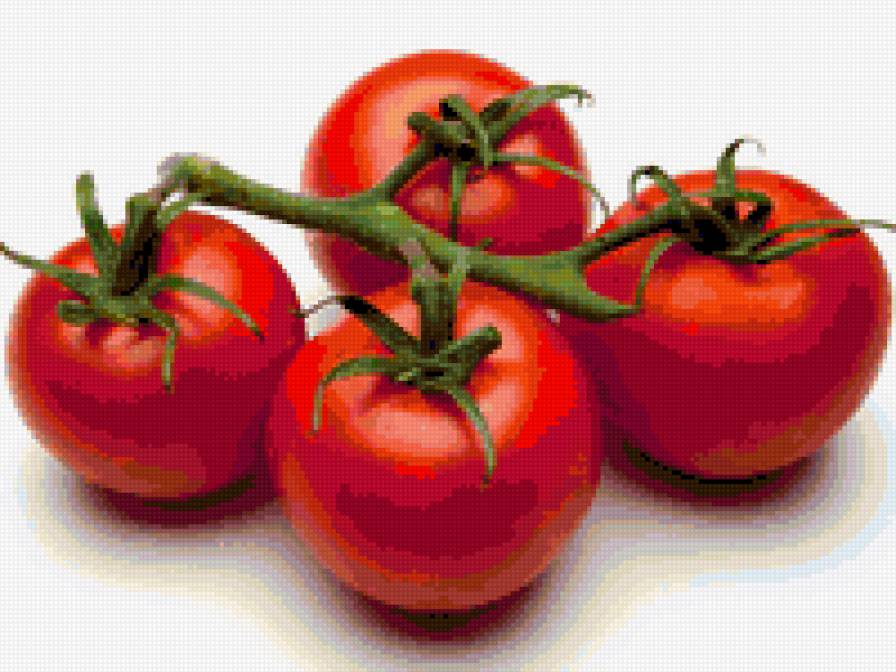 tomatoes - помідори, овочі, помидоры, овощи, овощ, овоч, помідор, помидор - предпросмотр