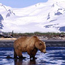 Схема вышивки «Медведь»