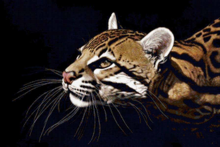 Четкая схема 2 - коты, большие кошки, животные, кот - предпросмотр