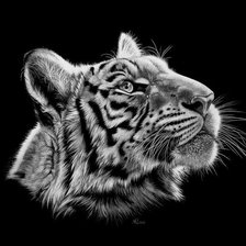 Схема вышивки «Тигр 3»