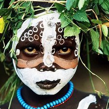 Схема вышивки «Африка 4»