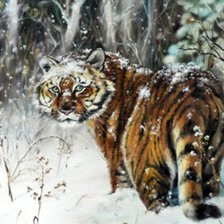 Схема вышивки «Тигр»