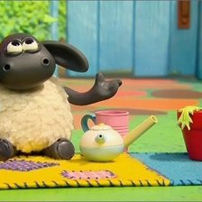 баранчик тимми