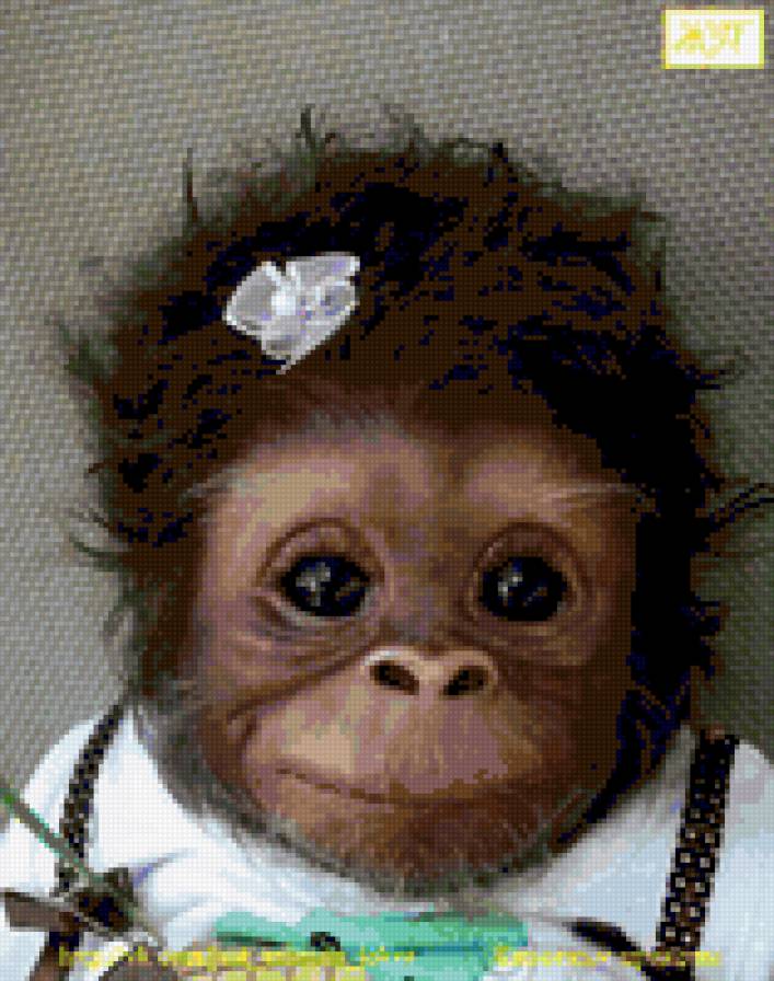 обезьянка - предпросмотр