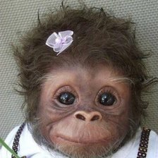 Схема вышивки «обезьянка»