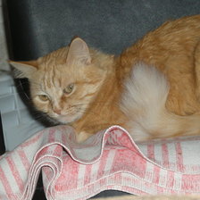 Схема вышивки «Мусяша»