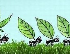 Схема вышивки «муравей»