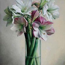 Схема вышивки «гипераструмы»