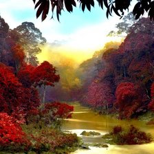 Схема вышивки «Джунгли»