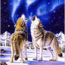 Схема вышивки «песня севера»