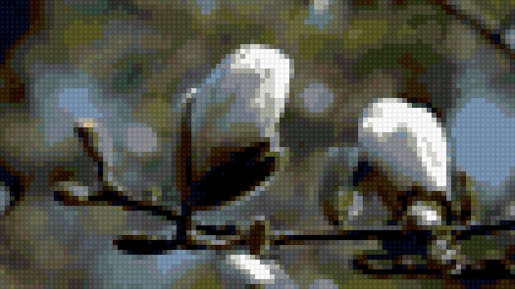 Пробуждение весны - весна, почка, верба - предпросмотр