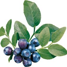 Схема вышивки «Черника»