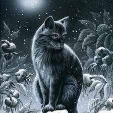 Схема вышивки «ночной кот»