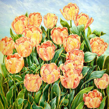 Схема вышивки «тюльпаны»
