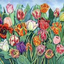 Схема вышивки «тюльпаны»