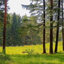 Схема вышивки «лето»
