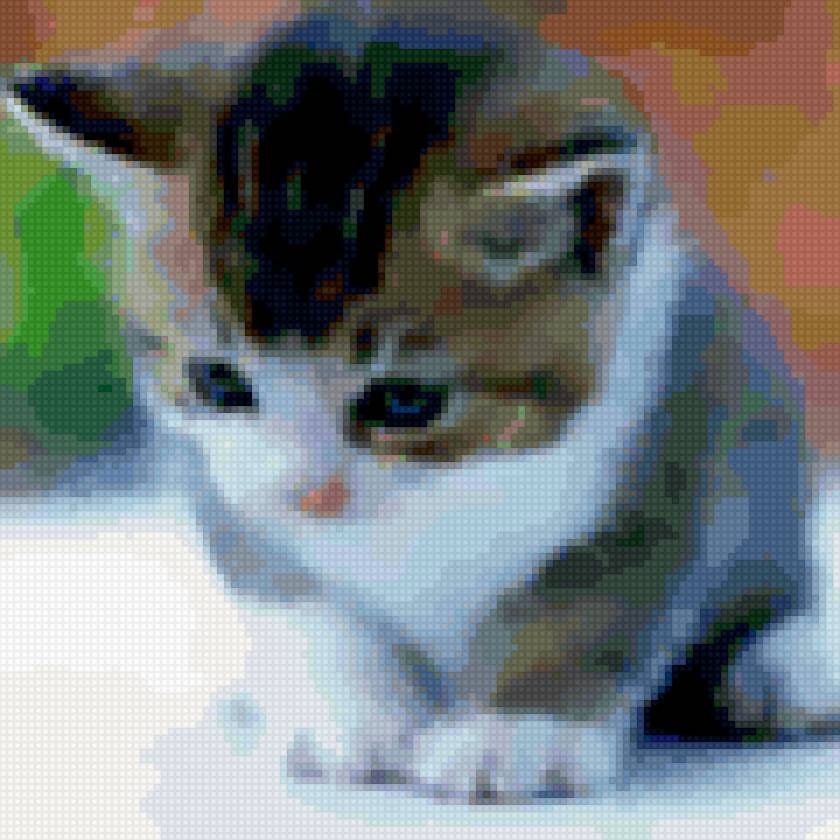 котенок - домашние животные, кошки, котята - предпросмотр