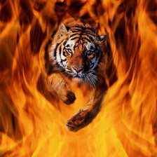 Схема вышивки «тигр»