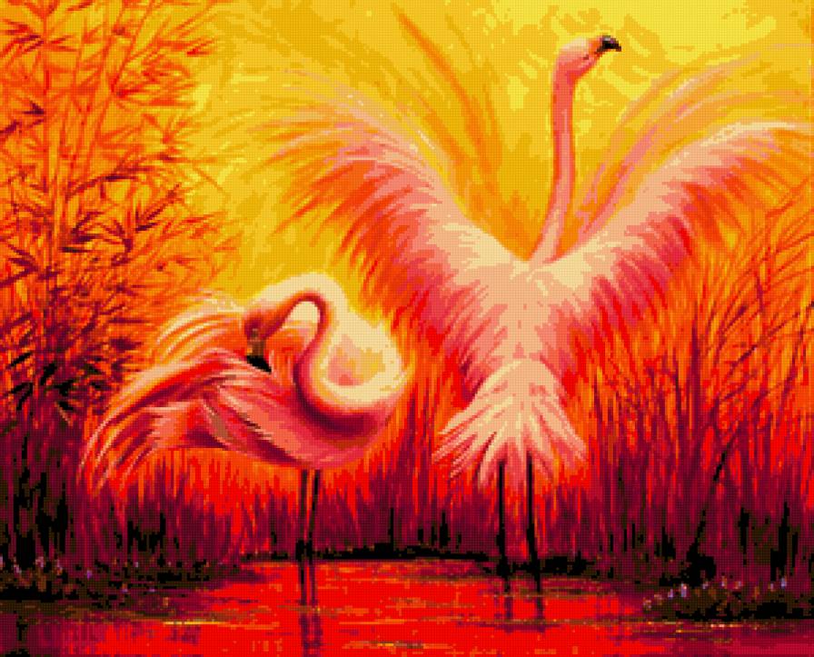 фламинго - предпросмотр