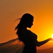 Схема вышивки «силуэт2»